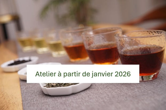 Les 6 couleurs du thé - 2/3 - wulong / noir : 2h00