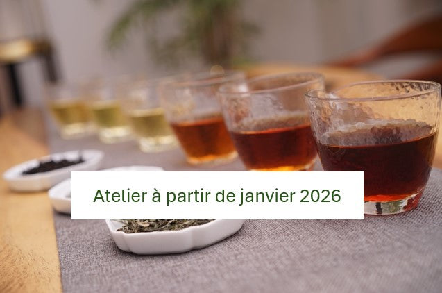 Les 6 couleurs du thé - 1/3 - verts / blancs / jaunes : 2h00