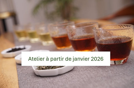 Les 6 couleurs du thé - 1/3 - verts / blancs / jaunes : 2h00