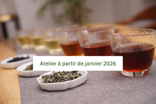 Les 6 couleurs du thé - 3/3 - sombre / pu'er : 2h00