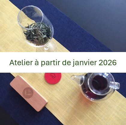 Thés et vins - deux faces d'une même pièce : 2h00